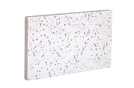 Plaque de plafond de décoration en laine minérale avec N.W. de 21 kg et sans image de surface