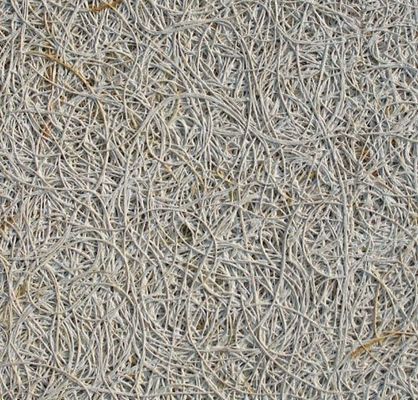 En bois vert laine panneau de ciment acoustique finition de surface de placage remplacer service après-vente