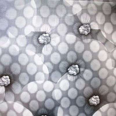 Panneau composite en PVC personnalisable pour les panneaux de mur et de plafond décoratifs