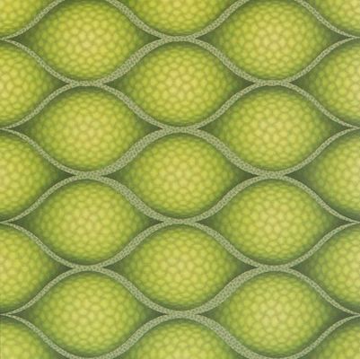 PD117 Panneau ou panneau en PVC 3D imperméable à l'eau pour paroi et plafond Poids brut 3.000 kg