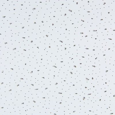 Plafond perforé en laine minérale de 600 mm pour absorption sonore intérieure