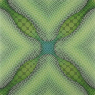 460mm*460mm Taille 3D PVC Panneaux de mur/plafond en plastique pour la décoration intérieure De nombreux modèles