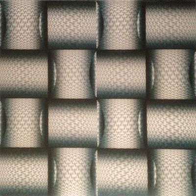 Panneau 3D en plastique en PVC de 500x500 mm pour la décoration intérieure des murs et des plafonds Taille 500x2000x3.0 mm