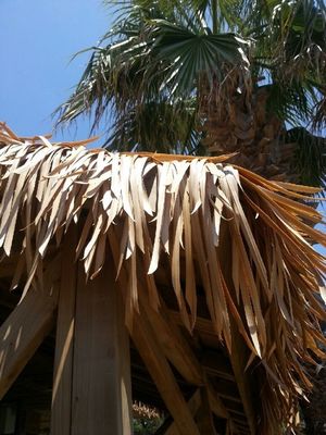 La paille de toiture synthétique jaune tropicale africaine personnalisée pour la décoration des toits