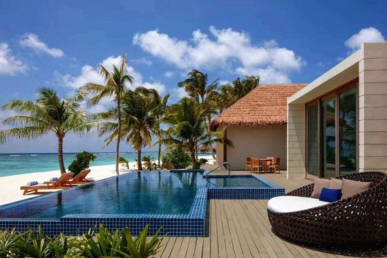 Ne jamais s'estomper Prévention des incendies Carreaux de toits simples pour la simulation de l'environnement Toit de chaume