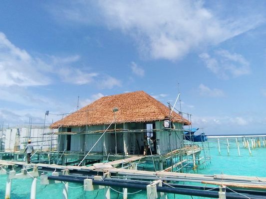 Ne jamais s'estomper Prévention des incendies Carreaux de toits simples pour la simulation de l'environnement Toit de chaume