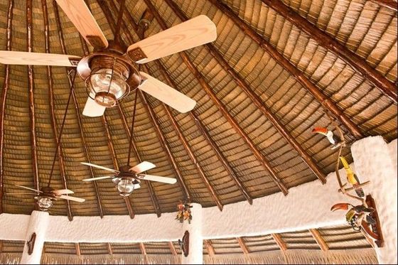 Résine synthétique Afrique paille artificielle pour le toit environnement de simulation en forte demande