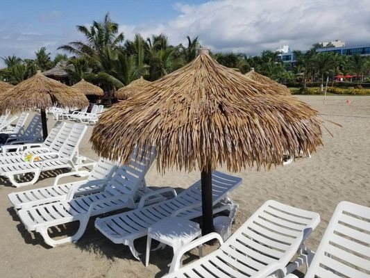 Ventes mondiales Belle et élégante dalles de toiture de chaume pour la décoration naturelle