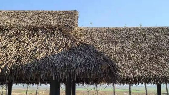Ventes mondiales Belle et élégante dalles de toiture de chaume pour la décoration naturelle