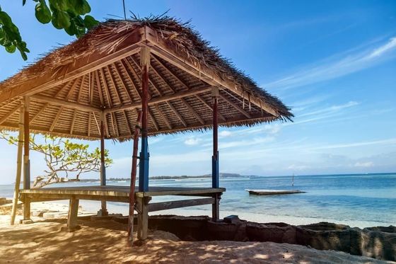 Toiture en chaume synthétique artificielle 45*50cm et 100*60cm pour une efficacité de plage tropicale