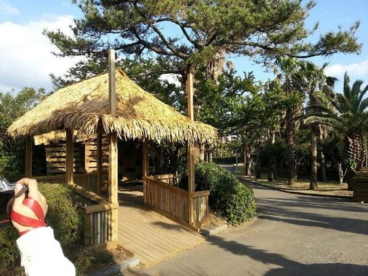 Des tuiles de chaume synthétique sur mesure pour la décoration de toits en Afrique du Sud ont été testées et approuvées par SGS