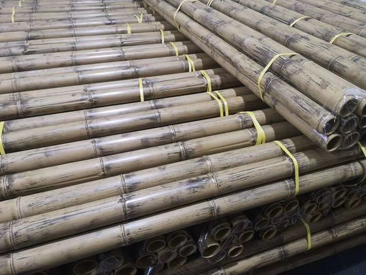 New York Bamboo Eco Friendly 8cm Faux végétation artificielle décorative pour intérieur