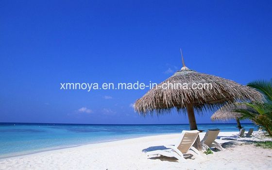 Matériau de toiture en chaume imperméable à l'eau pour la plage synthétique et de taille personnalisée