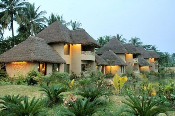 Mise à niveau vers Noya en paillis de chaume 1000 * 600 mm pour Tiki Roofing en chaume artificiel