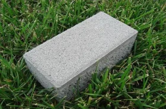 Stylé Sinter gris et rouge céramique Perméable à l'eau brique pour Paver jardin d'allée