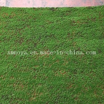 Mousse de tapis vert en plastique pour la décoration de murs écologique Durée de vie de 5 à 10 ans