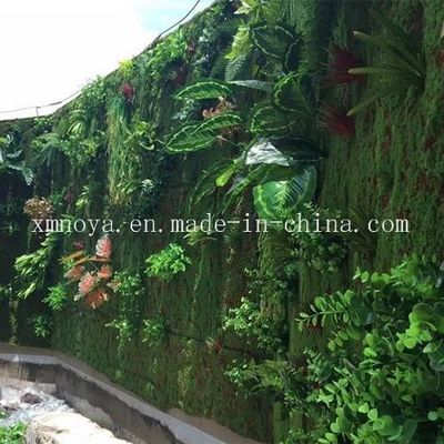 Mousse de tapis vert en plastique pour la décoration de murs écologique Durée de vie de 5 à 10 ans