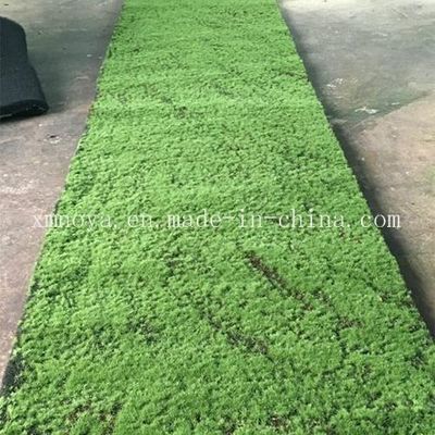 Plante à l'écorce artificielle, mousse décorative, végétaux en PE respectueux de l'environnement