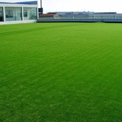 25 mm de hauteur de piles PP gazon artificiel pour terrain de football NYG010 espace de loisirs