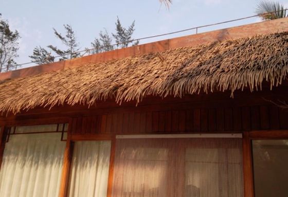 Éco-friendly 100% réaliste HDPE PVC toiture en paille artificielle