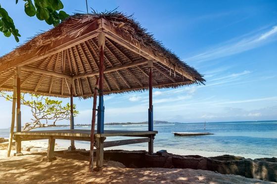 Bon prix Indonésie Plastique Artistique Serre sèche Gazebo Canopy Tente Pergolas Tentes Synthétique Tente de chaumière Cottage Toit à herbe sèche