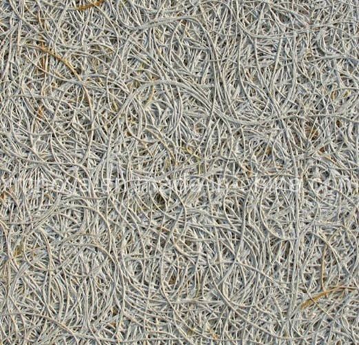 Panneau de ciment acoustique en laine de bois gris distinctif avec grade de résistance au feu B1 1200*2440 mm