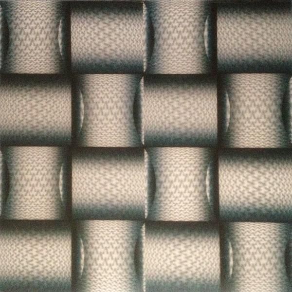 Panneau 3D en plastique en PVC de 500x500 mm pour la décoration intérieure des murs et des plafonds Taille 500x2000x3.0 mm